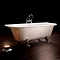 Royce Morgan Balmoral 1680 Luxury Freestanding Bath with Waste Profile Large Image