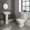 Rydal Traditional Basin + Pedestal (1 Tap Hole)  Profile Large Image