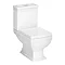 Rydal Traditional Toilet + Soft Close Seat Large Image