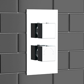Twin Shower Valves