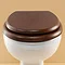 Silverdale BTW Traditional Luxury Mahogany Wooden Toilet Seat Large Image