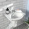 Silverdale Damea 650mm Wide Basin with Semi-Pedestal Large Image