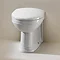 Silverdale Damea Back To Wall BTW Toilet + Soft Close Seat  Feature Large Image