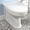 Silverdale Damea Back To Wall BTW Toilet + Soft Close Seat Large Image