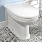 Silverdale Damea Back To Wall BTW Toilet + Soft Close Seat Large Image