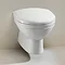 Silverdale Damea Wall Mounted Toilet inc Soft Close Seat  Feature Large Image