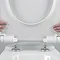 Silverdale Damea Wall Mounted Toilet inc Soft Close Seat Profile Large Image