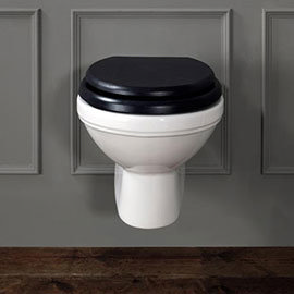 Silverdale Empire Wall Mounted Pan - Excludes Seat Medium Image