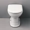 Silverdale Hillingdon Back To Wall BTW Toilet + Soft Close Seat  Feature Large Image