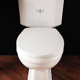 Silverdale White Soft-Close Thermoset Toilet Seat Medium Image
