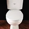 Silverdale White Soft-Close Thermoset Toilet Seat Large Image