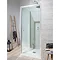 Simpsons - Edge Pivot Shower Door - 5 Size Options Large Image