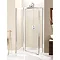 Simpsons - Supreme Pivot Shower Door with Inline Panel - 3 Size Options  Feature Large Image