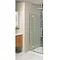 Simpsons - Ten Hinged Shower Door with Inline Panel - 5 Size Options Large Image