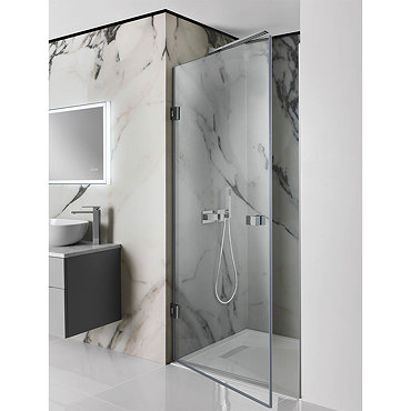 Simpsons Zion Hinged Shower Door  Profile Large Image