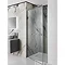 Simpsons Zion Hinged Shower Door Large Image