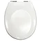 Standard Soft-Close Bottom-fix Toilet Seat with Chrome Hinges Large Image