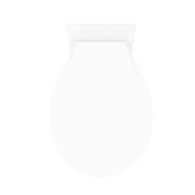 Standard Ceramic Back to Wall Toilet Pan  In Bathroom Large Image
