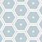 Stonehouse Studio Cosmos Duck Egg Hexagon Wall & Floor Tiles - 225 x 225mm