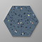 Farhill Hexagon Blue Terrazzo Effect Wall Tiles