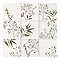 Stonehouse Studio Retford Floral Green Gloss Wall Tiles - 150 x 150mm