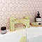 Elise Pink Hexagon Wall and Floor Tiles - 170 x 520mm  In Bathroom Large Image