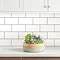 Subway Peel & Stick Backsplash Tiles - Pack of 4 Large Image