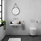 Toronto Modern Round Wall Hung Toilet Inc. Soft Close Seat  Profile Large Image