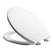 Tavistock Alpine Quick Release Soft Close Toilet Seat Large Image