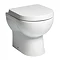 Tavistock Ion Back to Wall Pan & Soft Close Seat Large Image