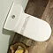 Tavistock Micra Short Projection WC & Soft Close Seat Feature Large Image