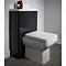 Tavistock Q60 Back to Wall Pan & Soft Close Seat Profile Large Image