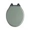 Tavistock Vitoria Wooden Toilet Seat - Pebble Grey - DC4002 Large Image