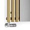 Terma Rolo Mirror H1800 x W590mm Brass Designer Radiator