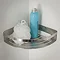 Tiger Caddy Large Corner Shower Basket - Brushed Stainless Steel Standard Large Image