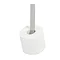 Tiger Colar Spare Toilet Roll Holder - Polished Stainless Steel In Bathroom Large Image