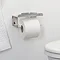 Tiger Colar Toilet Roll Holder with Shelf - Polished Stainless Steel additional Large Image