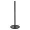 Tiger Tune Freestanding Spare Toilet Roll Holder - Brushed Black Metal/Black Profile Large Image