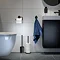 Tiger Tune Toilet Roll Holder - Brushed Black Metal/Black In Bathroom Large Image