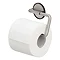 Tiger Tune Toilet Roll Holder - Brushed Stainless Steel/Black Large Image