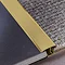 Tile Rite 910mm Carpet to Tile Threshold Strip - Gold Large Image