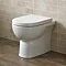 Tissino Angelo Back to Wall Pan + Soft Close Seat  Profile Large Image