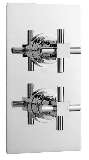 Titan Thermostatic Twin Shower Valve with Built-in Diverter Square Plate Large Image