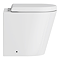 Tivoli Tall WC Toilet Unit with Pan, Cistern and Chrome Flush Button - Forest Green and Oak