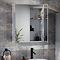 Toreno 600 x 700mm 2-Door Mirror Cabinet
