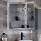 Toreno 500 x 700mm Single Door Mirror Cabinet