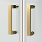 Toreno Brushed Brass 1700 x 900mm Double Sliding Door Shower Enclosure without Tray