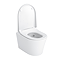 Toto GP Rimless Wall Hung Toilet + Soft Close Seat