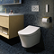 Toto Washlet RG Lite Rimless Wall Hung Shower Toilet & Remote Control