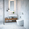 Toto Washlet RG Rimless Wall Hung Shower Toilet & Remote Control